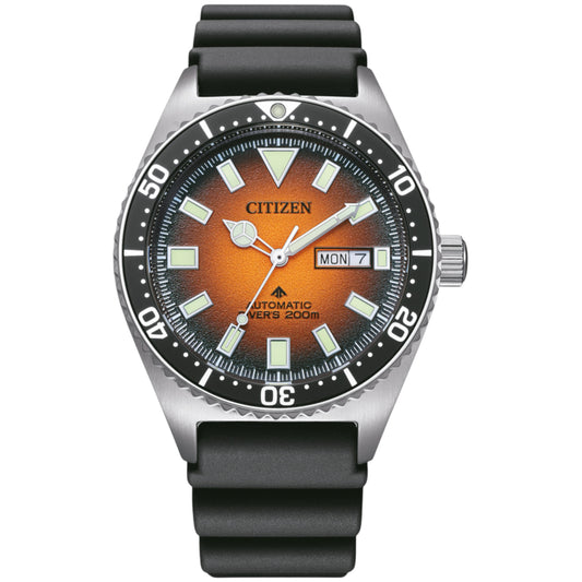 PROMASTER DIVER